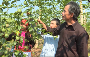 Lai Châu: Nông dân xã Bản Lang chung tay bảo vệ môi trường