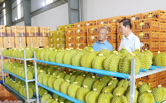 Thức ăn chăn nuôi làm từ vỏ sầu riêng của nhóm tác giả đến từ Bến Tre đạt giải Nhất ý tưởng khởi nghiệp