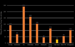 Savills: Việt Nam là một trong những thị trường trung tâm dữ liệu phát triển nhanh nhất thế giới