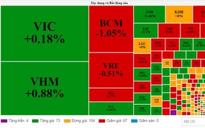 Dòng tiền vẫn tiếp tục "chảy" vào nhóm cổ phiếu bất động sản