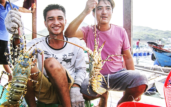 Một hòn đảo đẹp ở Cam Ranh của Khánh Hòa được ví như &quot; đảo giàu có&quot; cả về kinh tế và tình người