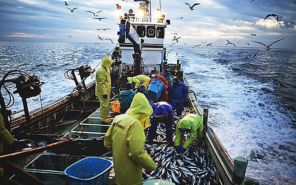 Triển khai các nhiệm vụ trọng tâm chống khai thác IUU trong năm 2023