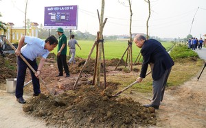 Phòng trào Ngày Chủ nhật xanh ở TT-Huế là điển hình để các tỉnh thành học hỏi 