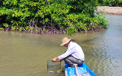 Nuôi cua, nuôi tôm, một nông dân Cà Mau thoát nghèo, lãi hơn 1 tỷ/năm, xây được nhà cao cửa rộng