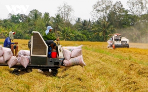 Xuất khẩu gạo sang Indonesia tăng đột biến, Bộ Công Thương khuyến cáo rủi ro