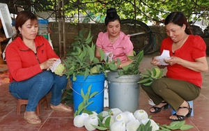 Đồng hành cùng hội viên phụ nữ làm kinh tế