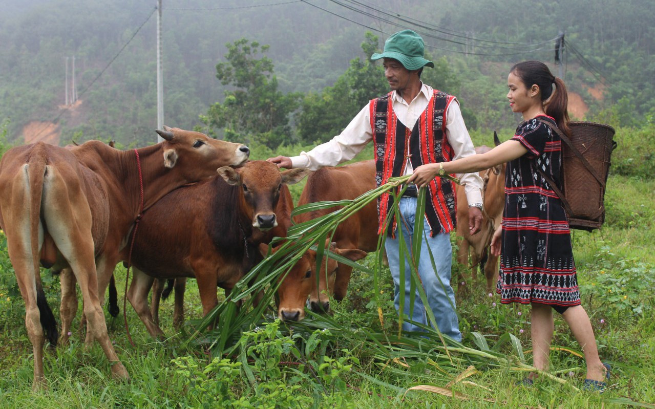 Quảng Nam: Có vốn ưu đãi “tiếp sức”, người dân Tây Giang mạnh dạn xây dựng các mô hình kinh tế để thoát nghèo