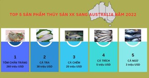 Xuất khẩu thủy sản sang Australia: 4 năm tăng trưởng bứt phá