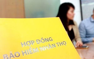 Thực hư việc có hay không khách hàng không được đàm phán, điều chỉnh các điều khoản hợp đồng bảo hiểm