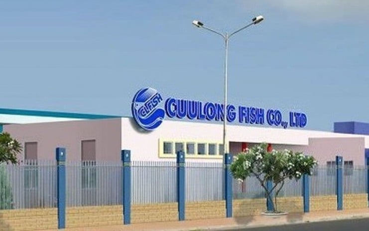Năm 2023 Thủy sản Cửu Long An Giang (ACL) tập trung chế biến cá tra xuất khẩu, dự kiến lãi 80 tỷ đồng
