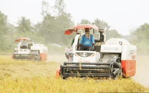 Việt Nam chuyển đổi hệ thống lương thực gắn với nông nghiệp sinh thái, tích hợp đa giá trị