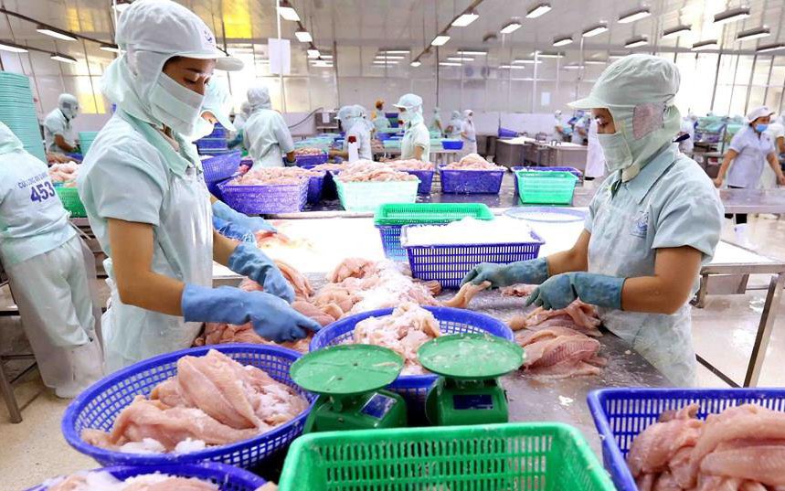 Thủy sản Cửu Long An Giang (ACL) báo lãi "tụt" 97% còn vỏn vẹn 2 tỷ đồng