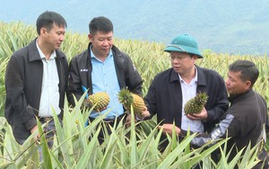 Hỗ trợ vốn, liên kết sản xuất, hội viên nông dân nơi này xây dựng thành công 3 sản phẩm OCOP - Ảnh 5.