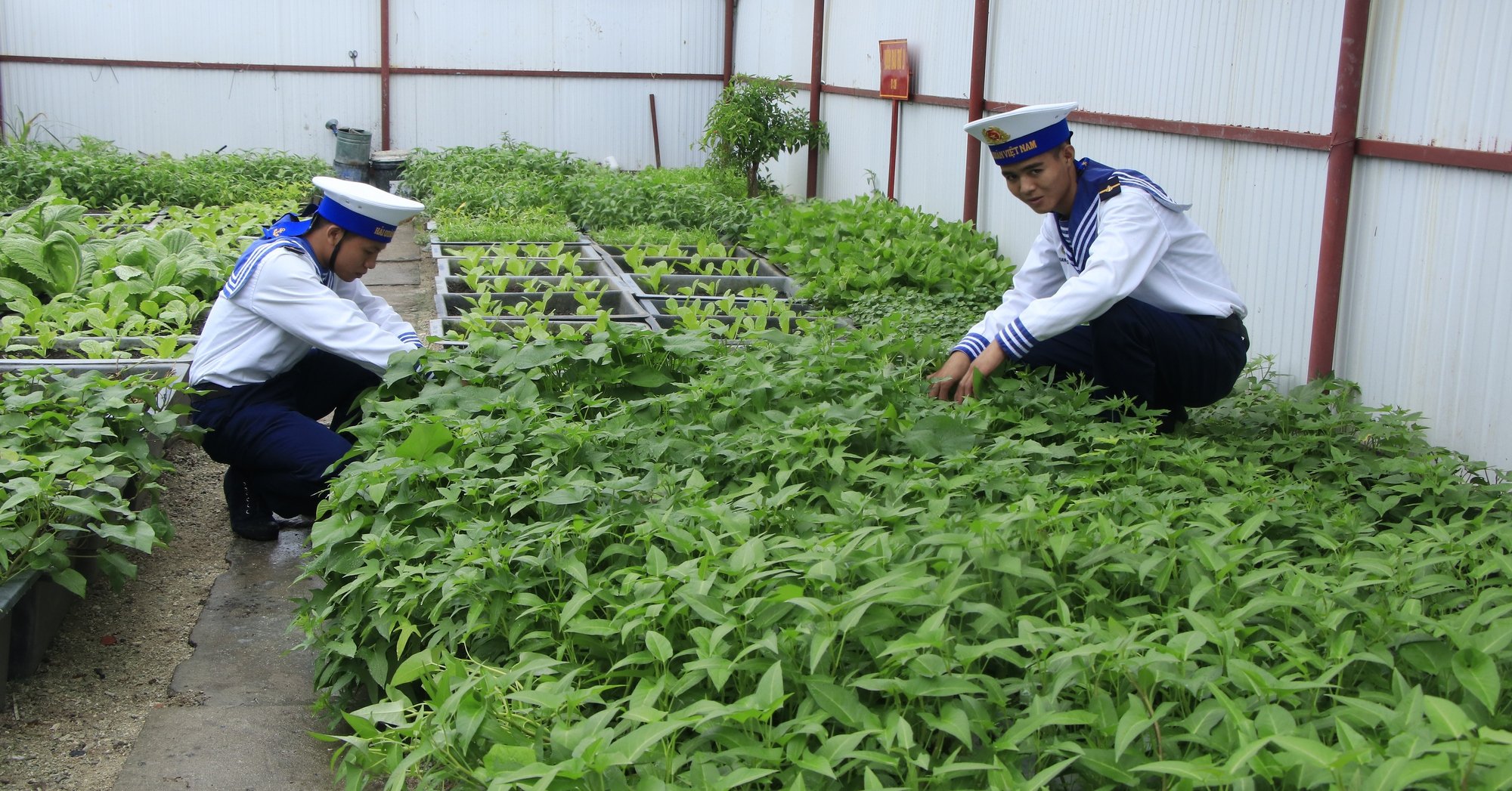 Ký sự Trường Sa (Bài 3): Sinh Tồn Đông hiên ngang