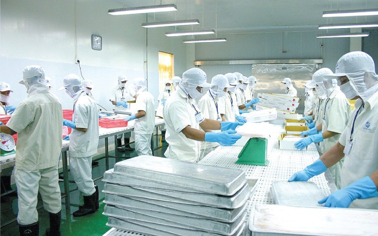Người nhà Chủ tịch Thủy sản Cửu Long An Giang (ACL) đăng ký thoái toàn bộ vốn