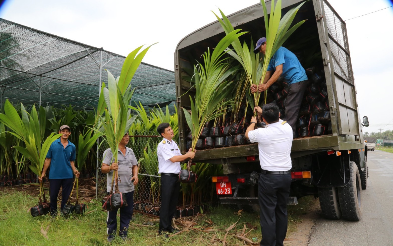 Bến Tre gửi tặng 10.000 cây giống ra Trường Sa