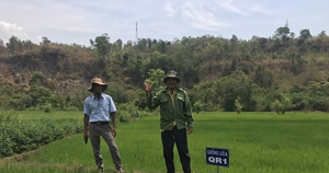 Gia Lai: Đầu tư hơn 2,1 tỷ đồng cho các mô hình khuyến nông trồng cây dược liệu, phun thuốc bằng máy bay