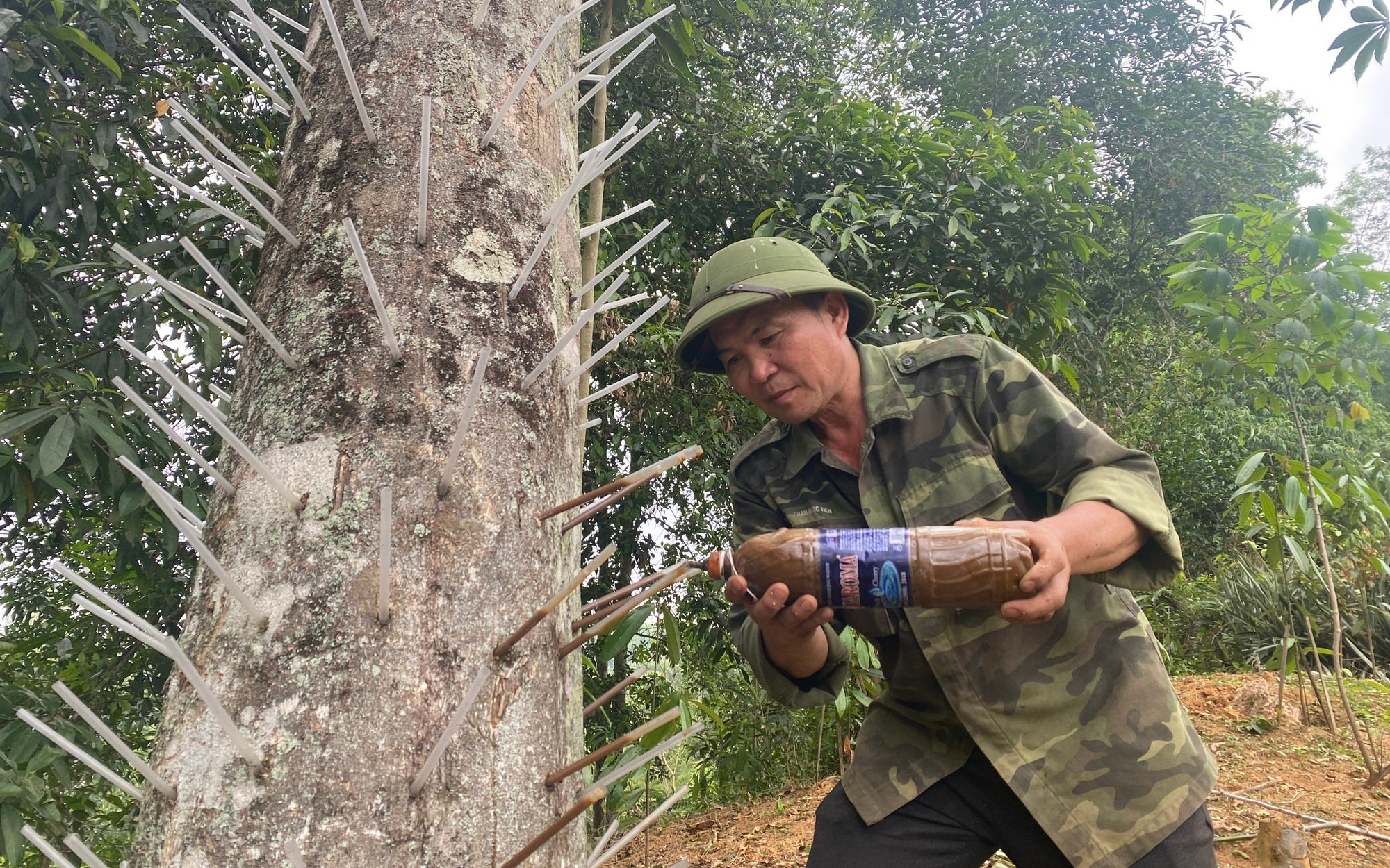 Hội trầm hương Khánh Hòa thu hút hơn 100 hội viên là doanh nghiệp, chủ cơ sở sản xuất kinh doanh- Ảnh 5.