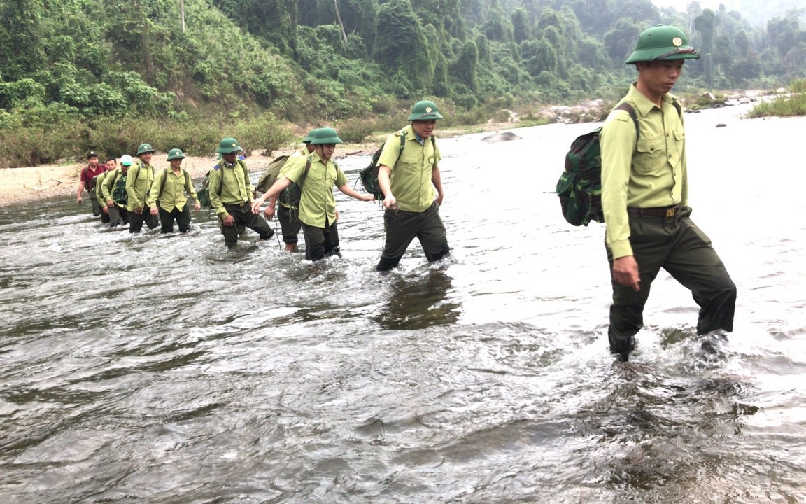 Bị kiểm toán “tuýt còi”, Quảng Nam đề nghị bãi bỏ nghị quyết về hỗ trợ quản lý, bảo vệ rừng lưu vực thủy điện