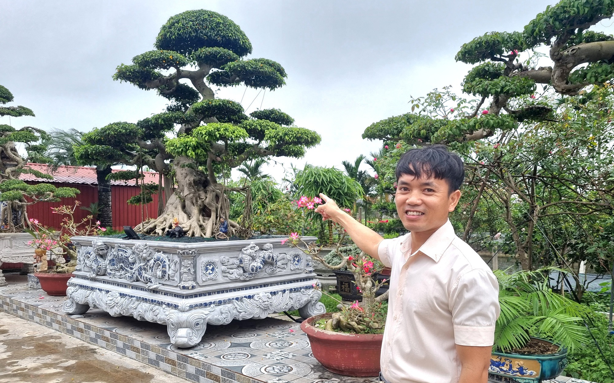 Cây sanh đủ tiêu chí “cổ kỳ mỹ văn” giá gần 2 tỉ đồng ở Ninh Bình