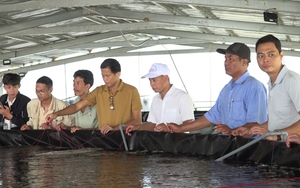 Chuyện nghe lạ, một nông dân ở tỉnh Đắk Lắk đang nuôi tôm thẻ chân trắng nước mặn, thành công bất ngờ