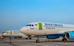 Toàn bộ thành viên HĐQT Bamboo Airways từ nhiệm