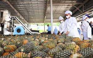 Sơn La: Tập trung phát triển nông nghiệp công nghệ cao