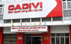 Cadivi (CAV) chốt phương án chia cổ tức bằng tiền tỷ lệ 100%