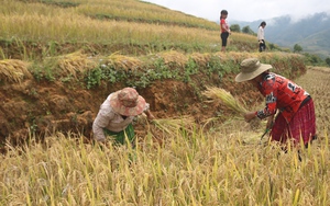 Nguồn động lực để đồng bào dân tộc thiểu số vươn lên 