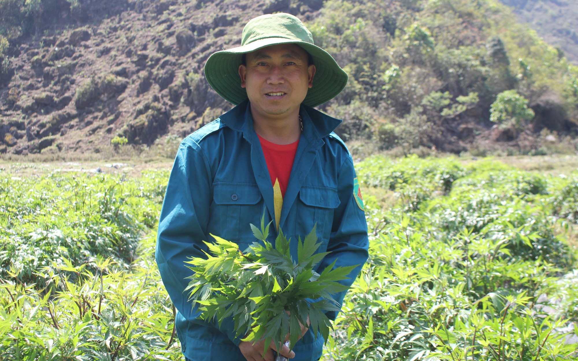 &quot;Chữa bệnh nghèo&quot; cho người dân ở cao nguyên Sìn Hồ: Nơi đất cằn &quot;đẻ&quot; ra tiền tỷ