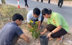 Người dân chăm chút trồng hoa, cây xanh dọc tuyến đường nâng chất môi trường nông thôn