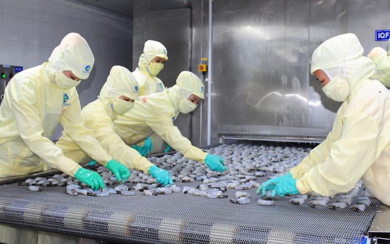 Trung Quốc tăng cường nhập khẩu tạo đà phục hồi xuất khẩu tôm Việt Nam