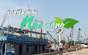 Chuyển động Nhà nông 16/7: Chủ động sơ tán dân vùng trũng thấp, ứng phó với cơn bão số 1