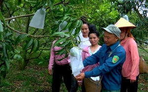 Nông dân Sơn La tích cực thi đua xây dựng nông thôn mới