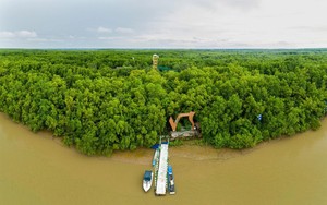 Thủ tướng Phạm Minh Chính thị sát Cần Giờ, yêu cầu TP.HCM làm việc với nhà đầu tư, thúc đẩy siêu cảng 5,4 tỷ USD