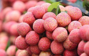 Vải thiều Việt Nam sang Mỹ bán giá 200.000 đồng/kg