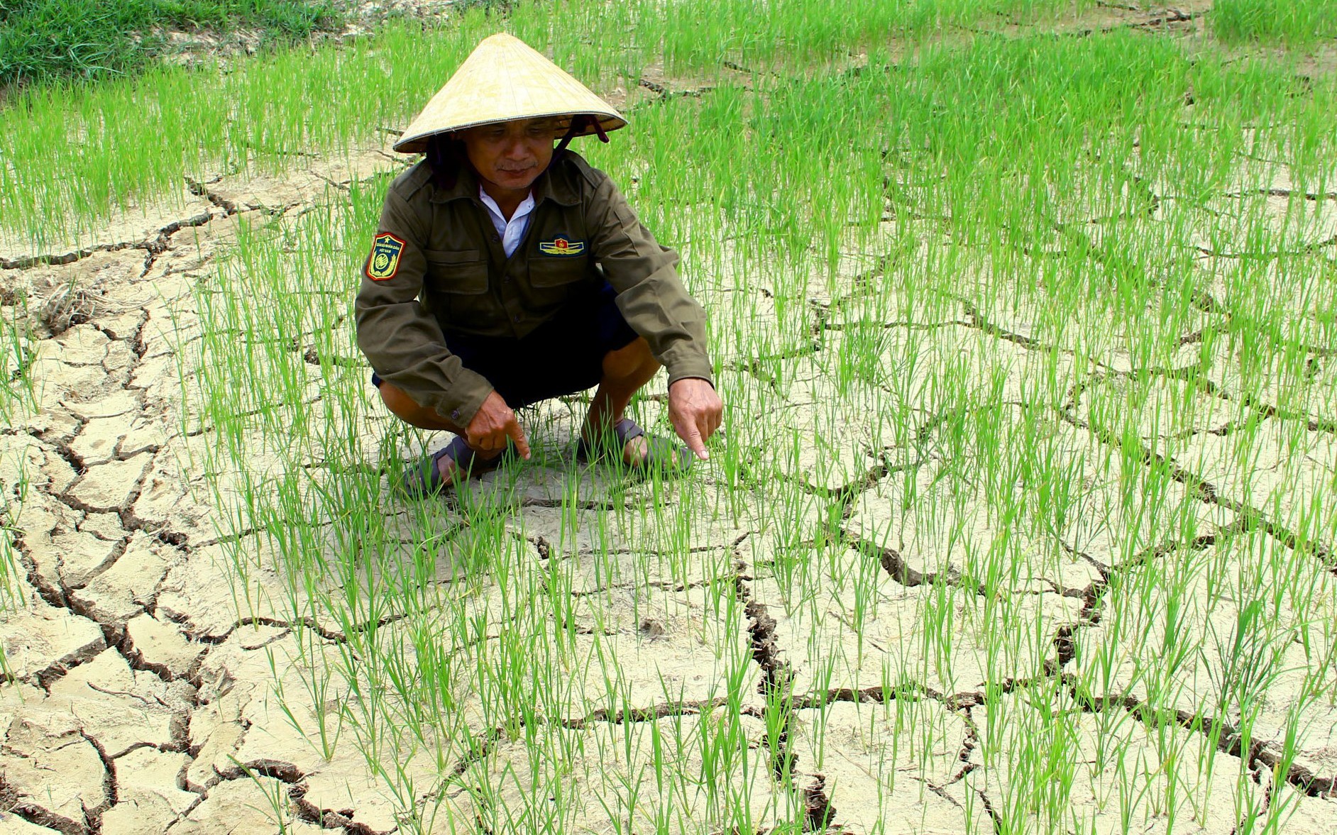Nghệ An: Nắng nóng kéo dài, hồ đập cạn trơ đáy, ruộng đồng nứt nẻ, lúa ngô nguy cơ chết cháy