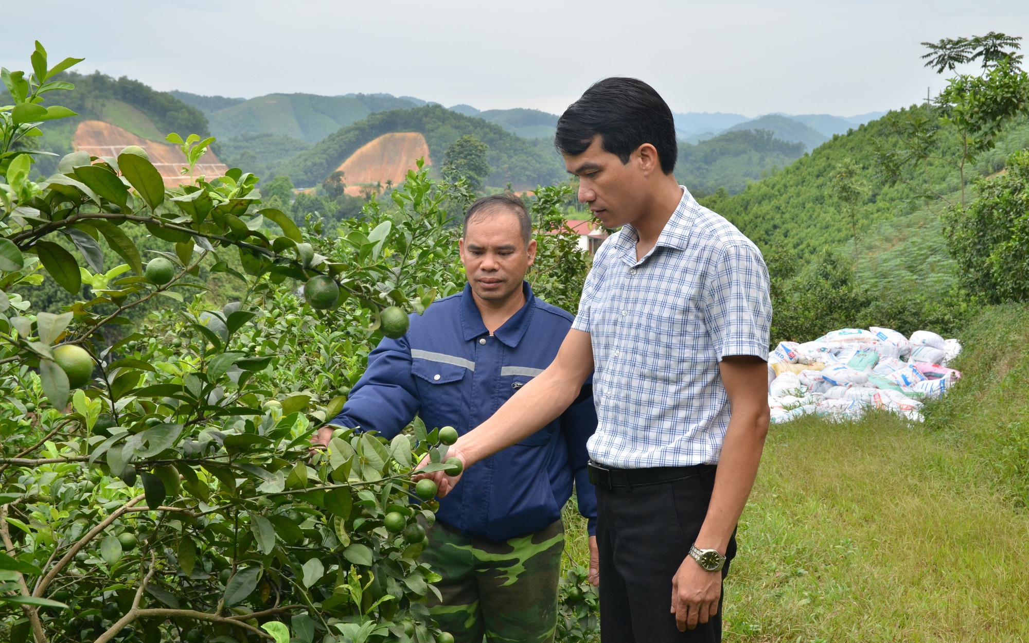 Nuôi cá trắm, trồng cây ăn quả từ tiền vốn vay từ Quỹ Hỗ trợ nông dân, ở Yên Bái bà con đang khá giả