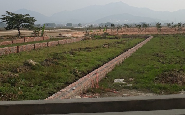Bộ Tư pháp kiến nghị Hà Nội xử lý người tham mưu quy định đấu giá đất nông nghiệp "trái luật"