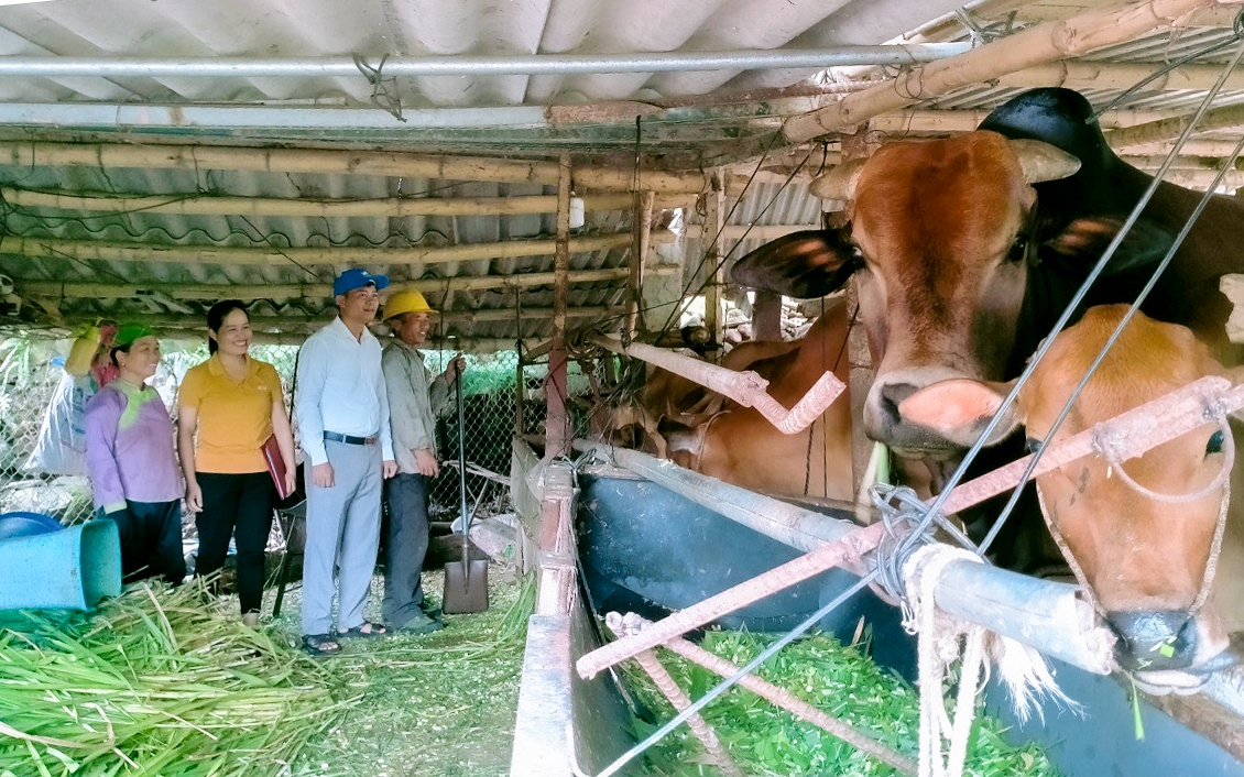 Chủ tịch Hội nông dân huyện Tân Uyên: Tăng cường kiểm tra, hướng dẫn, đảm bảo nguồn vốn phát huy hiệu quả