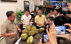 Công ty CP Hoàng Anh Gia Lai bị nghi ngờ khả năng hoạt động liên tục, tuyên bố vẫn trả được nợ