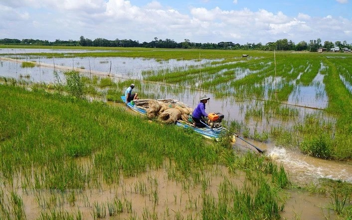 Miền Tây lo mất mùa nước nổi, thượng nguồn Đồng Tháp nước tràn đồng rồi mà dân bắt được ít cá