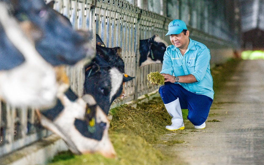 Không bị ảnh hưởng bởi giá đường tăng cao, cổ phiếu Vinamilk thậm chí sắp "lên đỉnh" 9 tháng