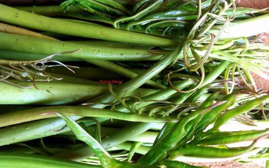 Ở Tây Ninh có vợ chồng ông thương binh trồng rau dại mọc gai, ai ngờ lại bán chạy như tôm tươi