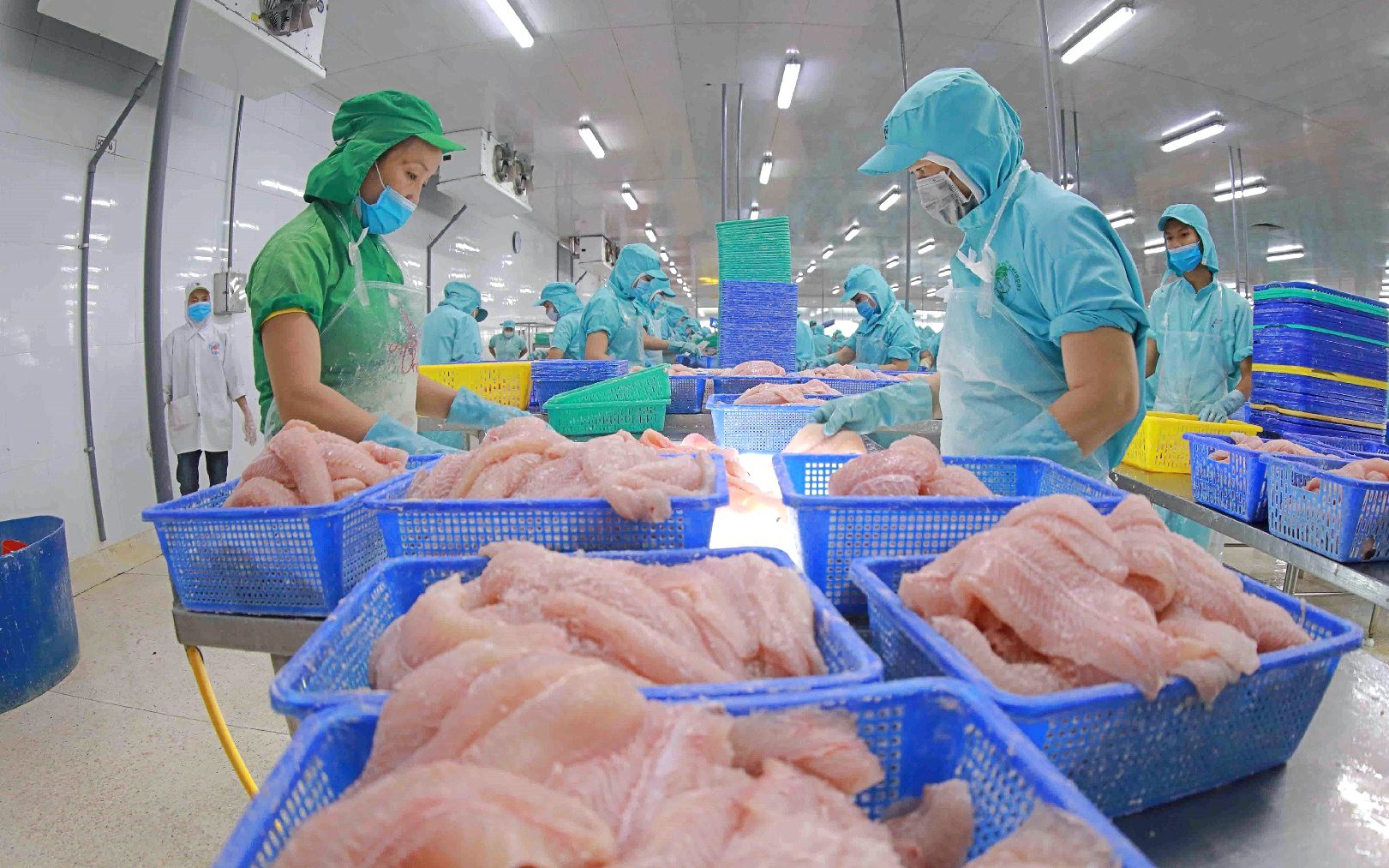 Xuất khẩu cá tra cuối năm còn khó khăn, phải gấp rút làm nhanh điều này - Ảnh 4.