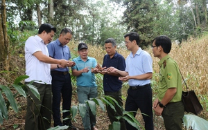  Giải đua xe đạp địa hình "Chinh phục Séo Mý Tỷ, hồ nước nhân tạo cao nhất Đông Nam Á" - Ảnh 3.