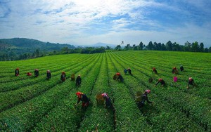 Lào Cai quyết tâm, nỗ lực hoàn thành xóa nhà tạm, nhà dột nát  - Ảnh 7.