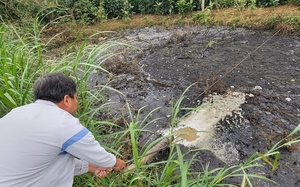 Thái Nguyên đề xuất đẩy nhanh tiến độ thực hiện một số dự án giao thông trọng điểm - Ảnh 3.