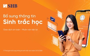 Lộ diện cổ đông sở hữu trên 1% vốn điều lệ tại SHB - Ảnh 4.