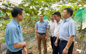 Lai Châu: Chủ tịch UBND huyện Than Uyên đối thoại với thanh thiếu niên - Ảnh 7.